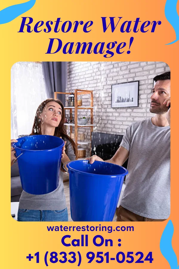 water restoration Master Flood Cleanup LLC Cross Keys