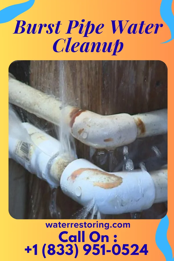 Burst Pipe Water Cleanup in Cross Keys, PA