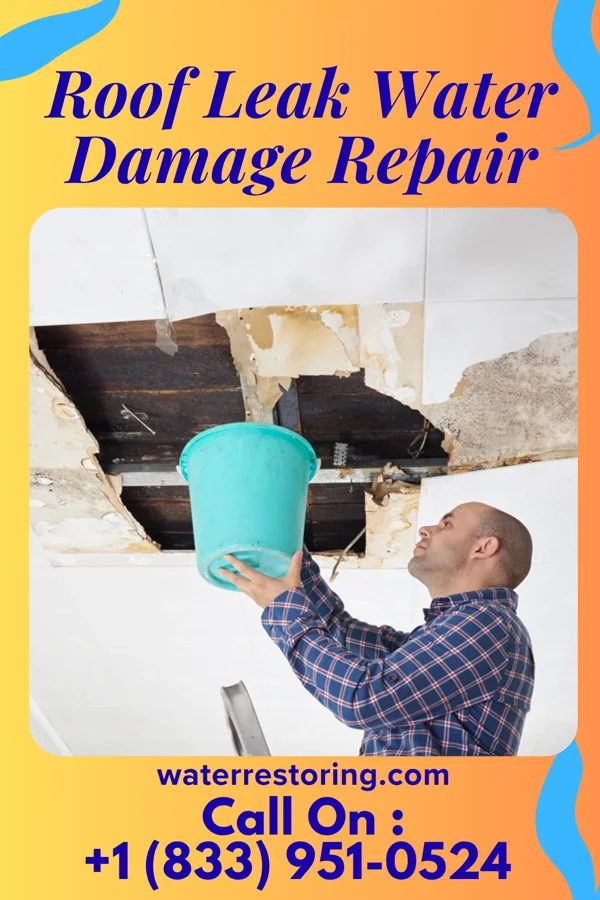 Roof Leak Water Damage Repair in Cross Keys, PA
